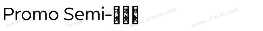 Promo Semi字体转换